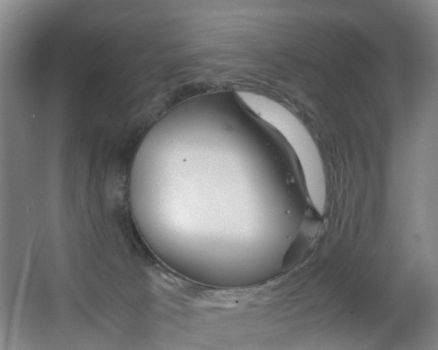 X0000067000033200604142310