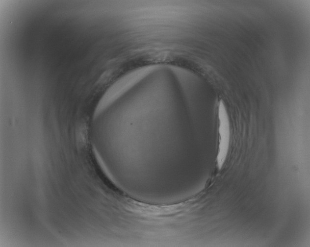 X0000067000035200604142310