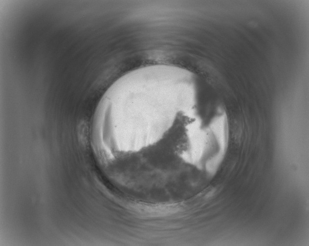 X0000067000036200604142310