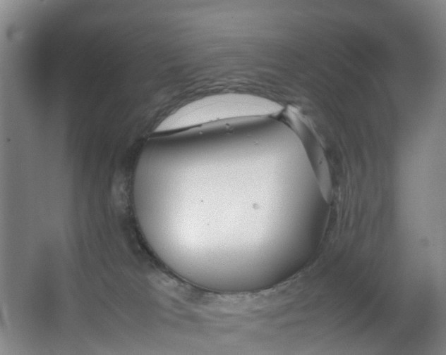 X0000067000037200604142310