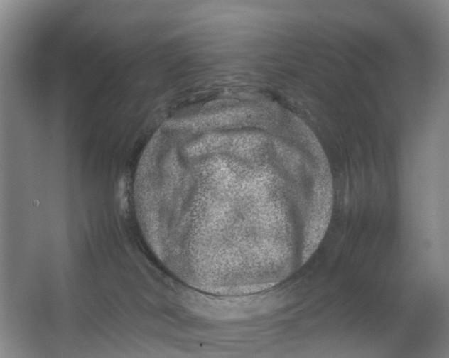 X0000067000038200604142310