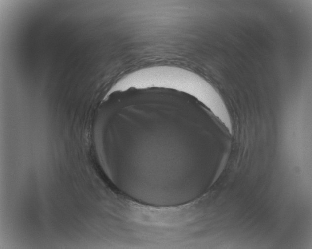 X0000067000039200604142310