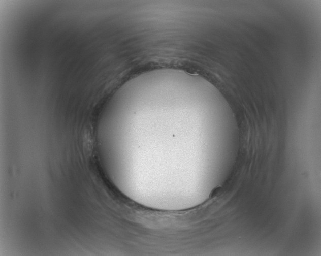 X0000067000040200604142310