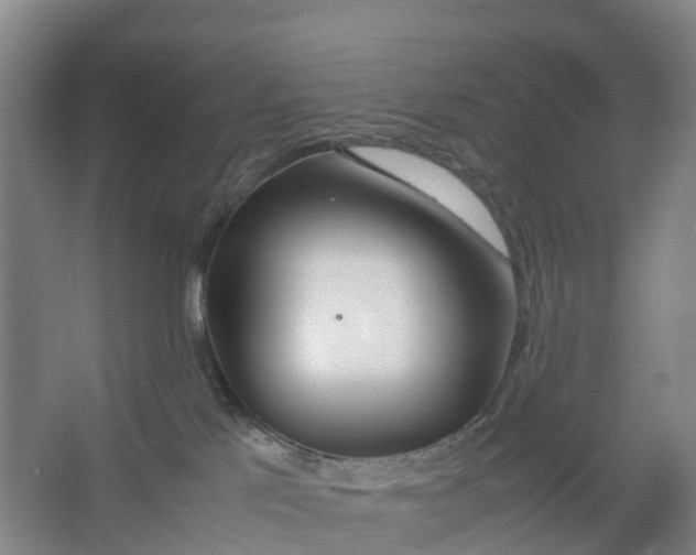 X0000067000041200604142310