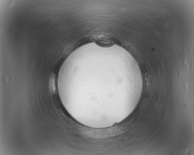 X0000067000042200604142310