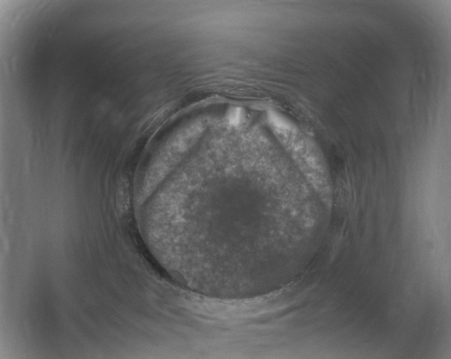 X0000067000043200604142310