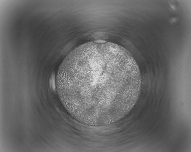 X0000067000046200604142310