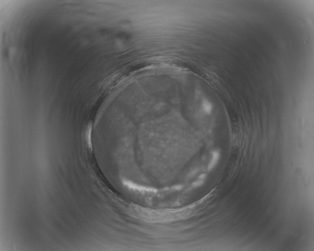 X0000067000047200604142310