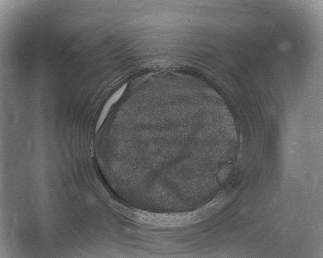 X0000067000048200604142310