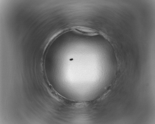 X0000067000050200604142309