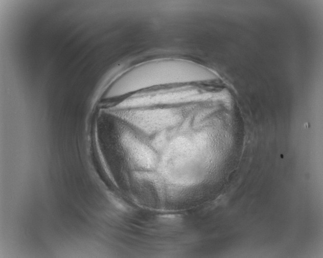 X0000067000053200604142309