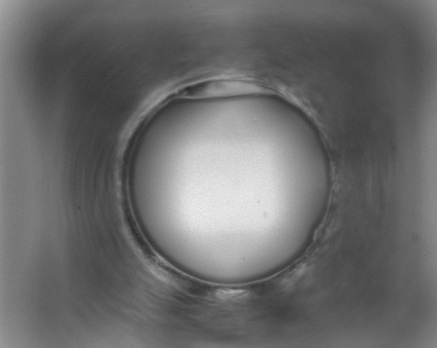 X0000067000055200604142309