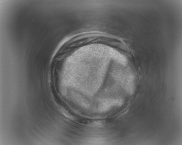 X0000067000056200604142309