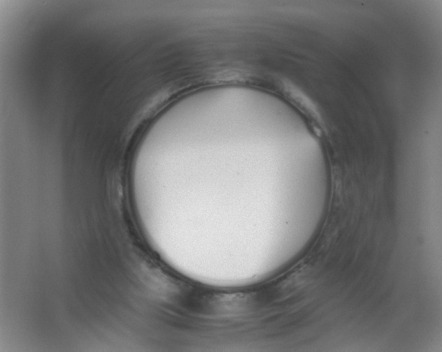 X0000067000059200604142309