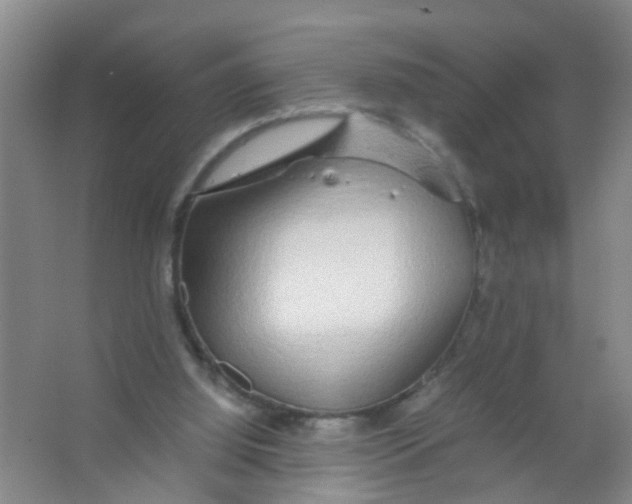 X0000067000060200604142309