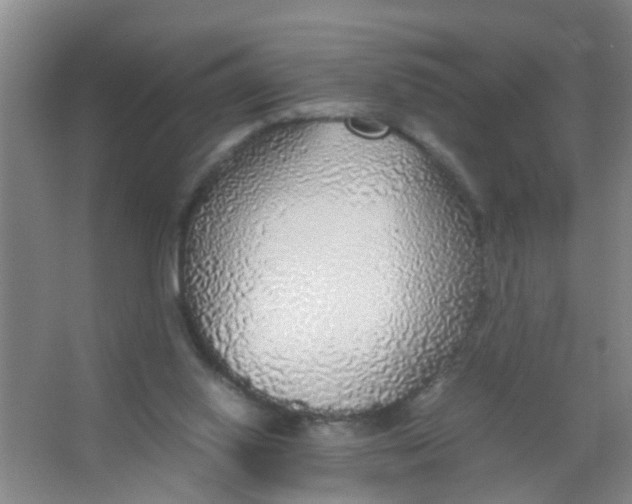 X0000067000062200604142309