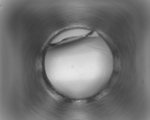 X0000067000064200604142309