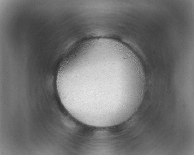 X0000067000066200604142309