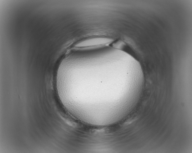 X0000067000068200604142309