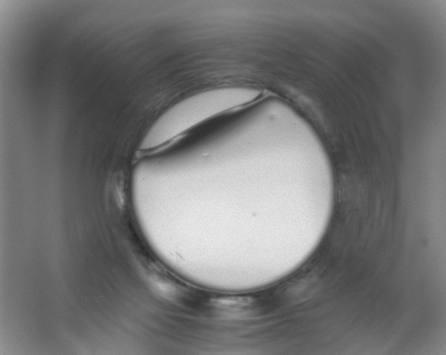 X0000067000069200604142309