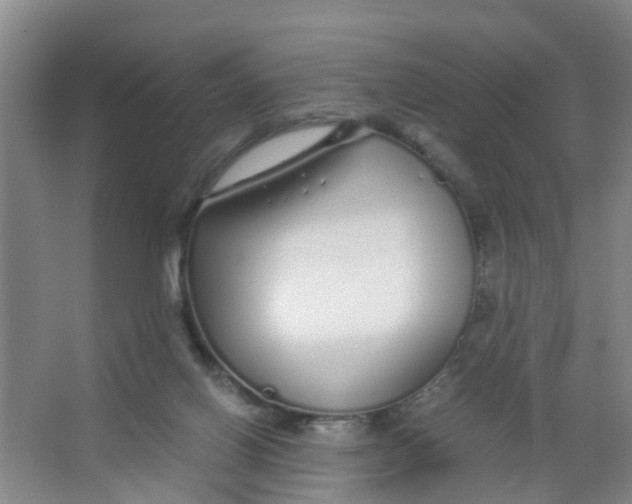 X0000067000070200604142310