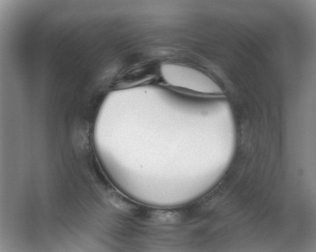 X0000067000073200604142310