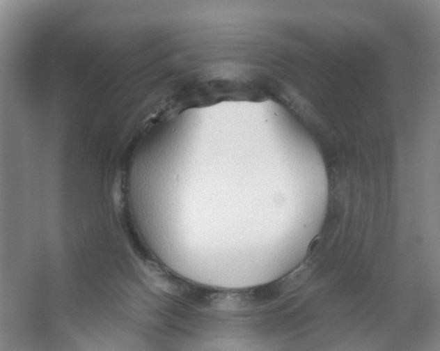 X0000067000074200604142310