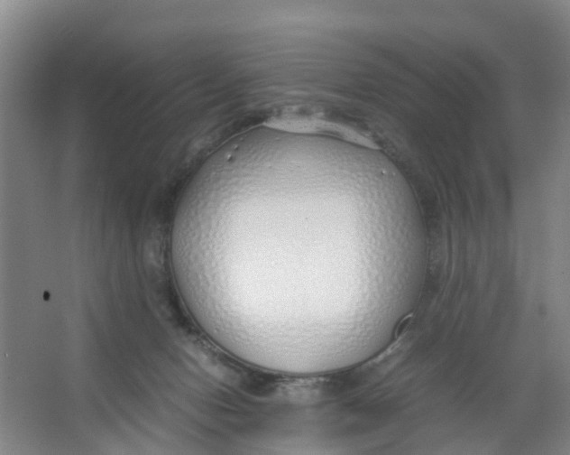 X0000067000078200604142310