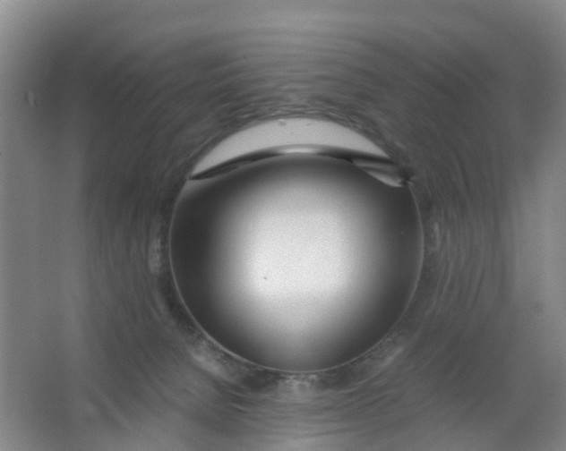 X0000067000080200604142310