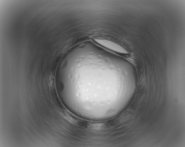 X0000067000081200604142310