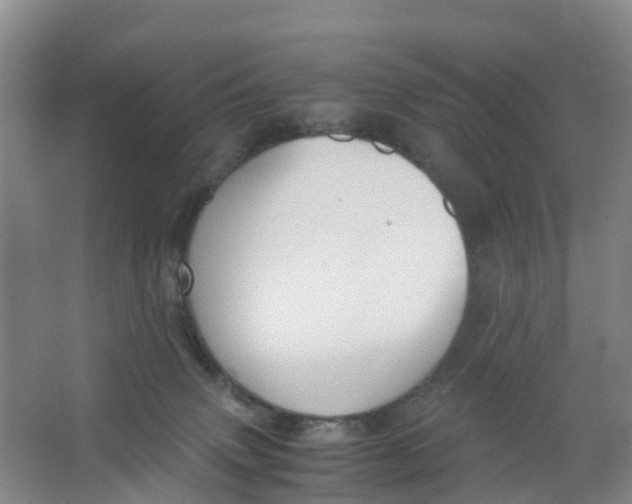 X0000067000083200604142310