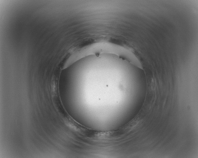 X0000067000084200604142310