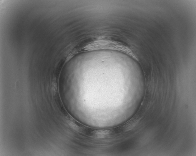 X0000067000085200604142310