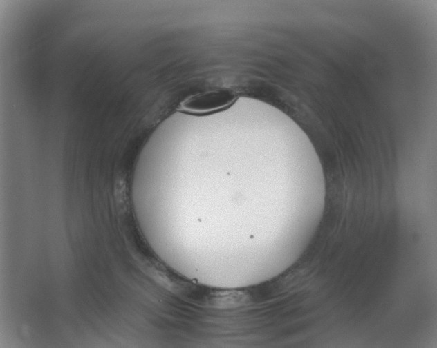 X0000067000087200604142310