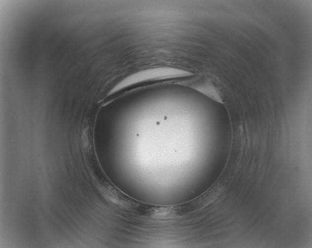 X0000067000088200604142310