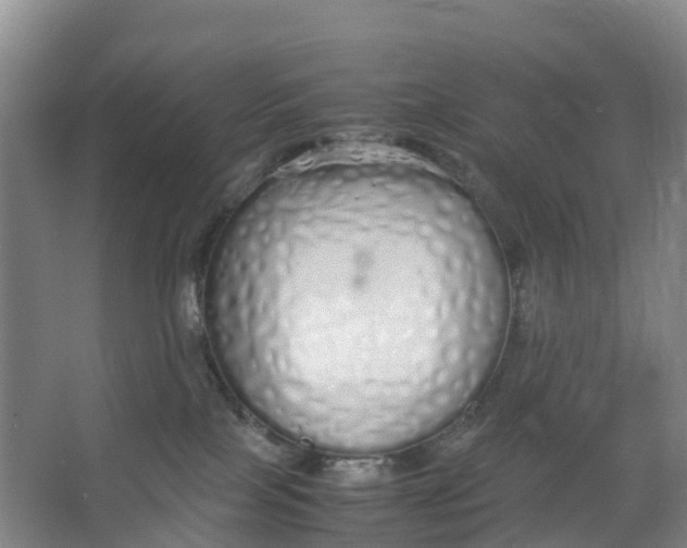 X0000067000089200604142310