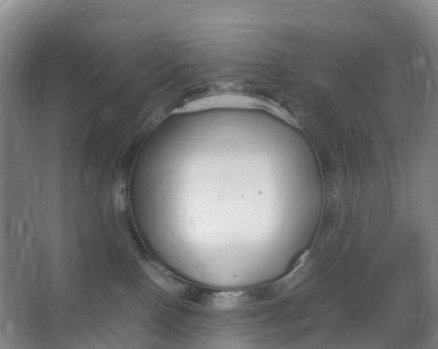 X0000067000090200604142310