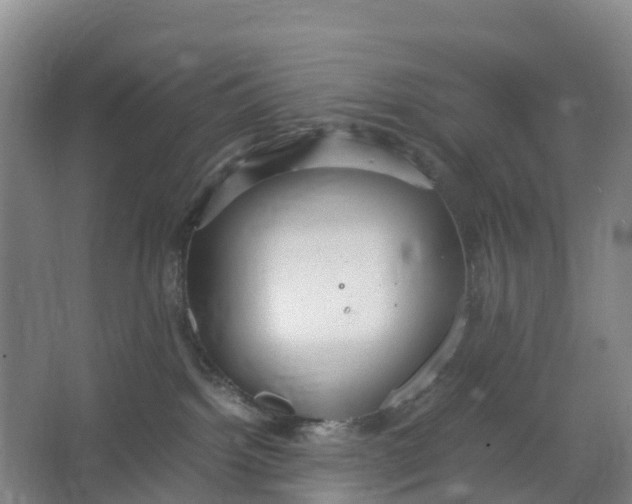 X0000067000092200604142310