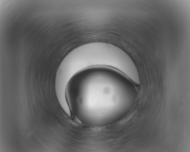 X0000067000096200604142310