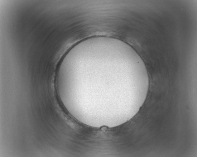 X0000067000098200604142309