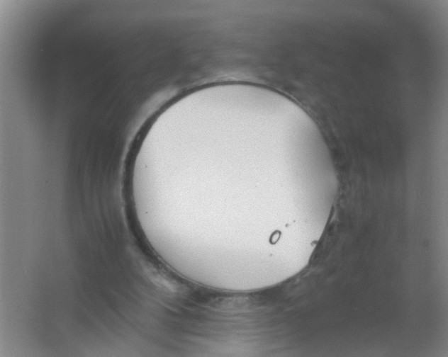 X0000067000104200604142309