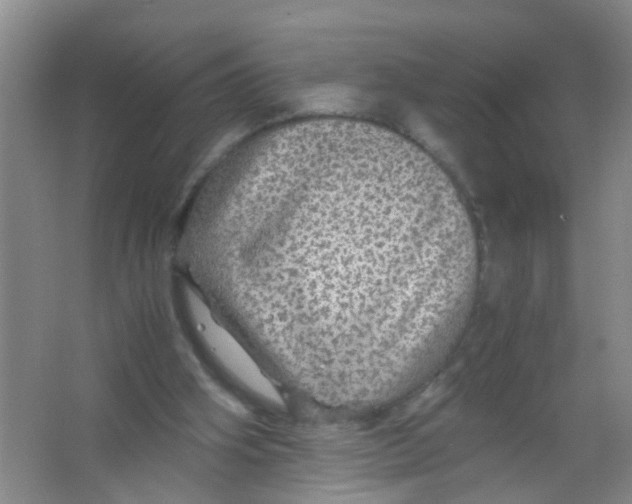 X0000067000106200604142309