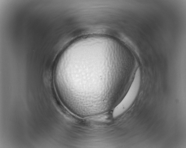 X0000067000107200604142309