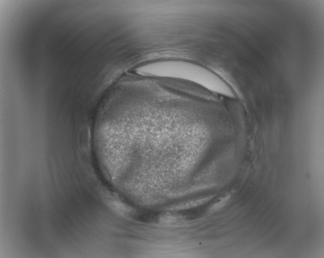 X0000067000109200604142309