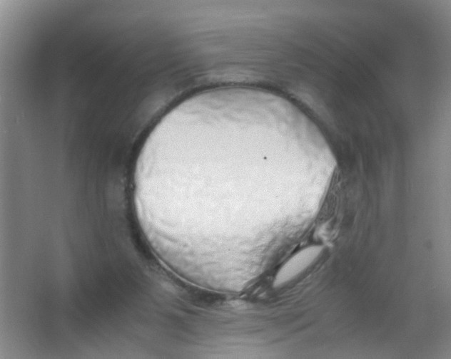 X0000067000111200604142309