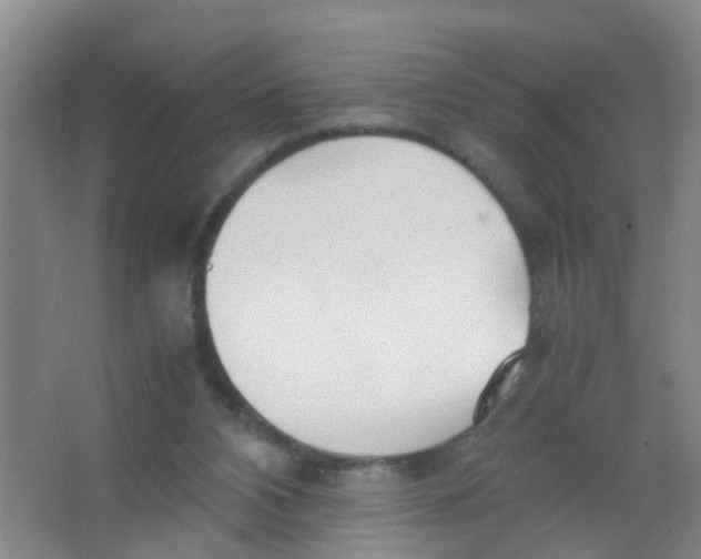 X0000067000112200604142309