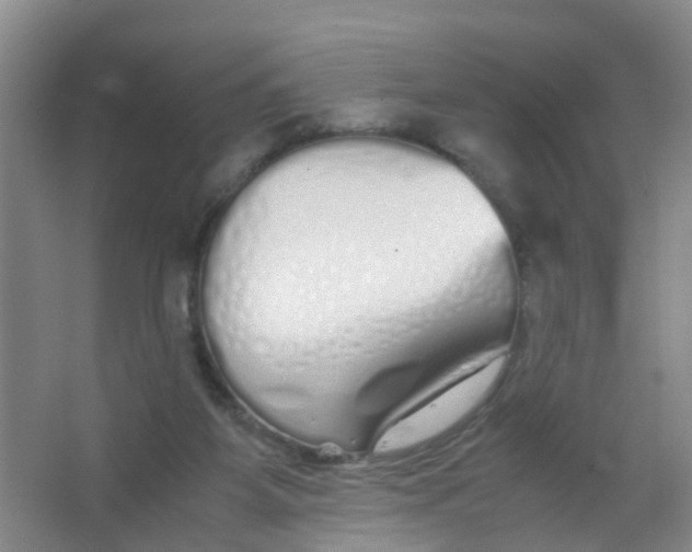 X0000067000115200604142309