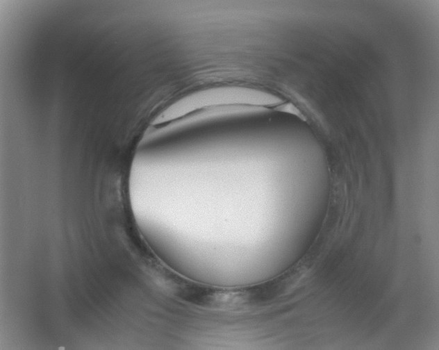 X0000067000117200604142309