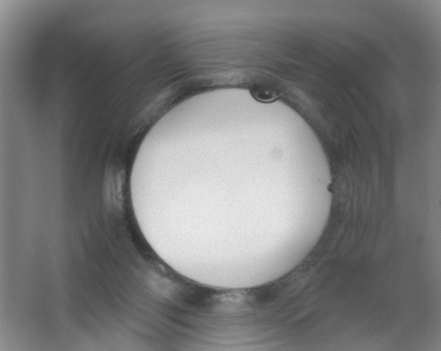 X0000067000118200604142309