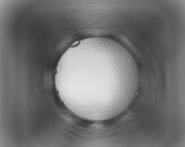 X0000067000119200604142309